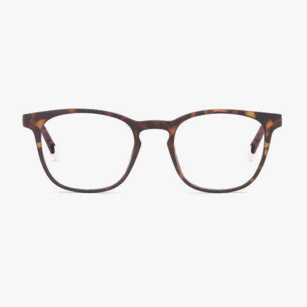 computer eyewear tortoise front